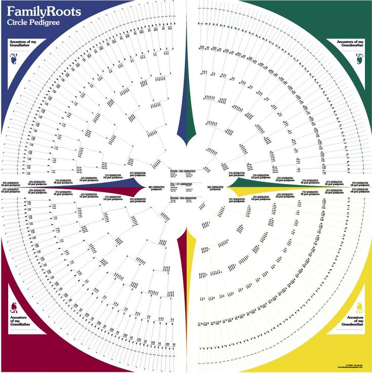 Circle Pedigree Chart Family Tree Chart