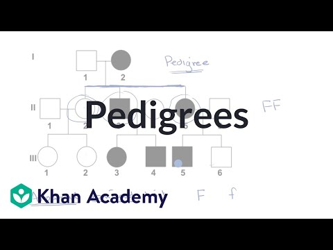 Dar Pedigree Chart Fill Online Printable Fillable Blank