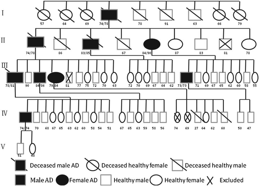 Decreased Cognitive Function In Extended Family Members From The Single 