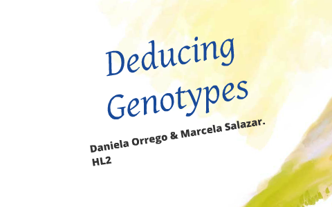 Deducing Genotypes By Marcela Salazar On Prezi
