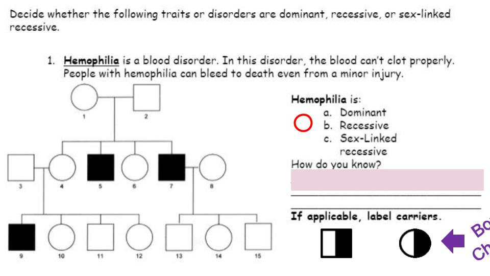 Determining Inheritance Patterns In Pedigree Charts Classful