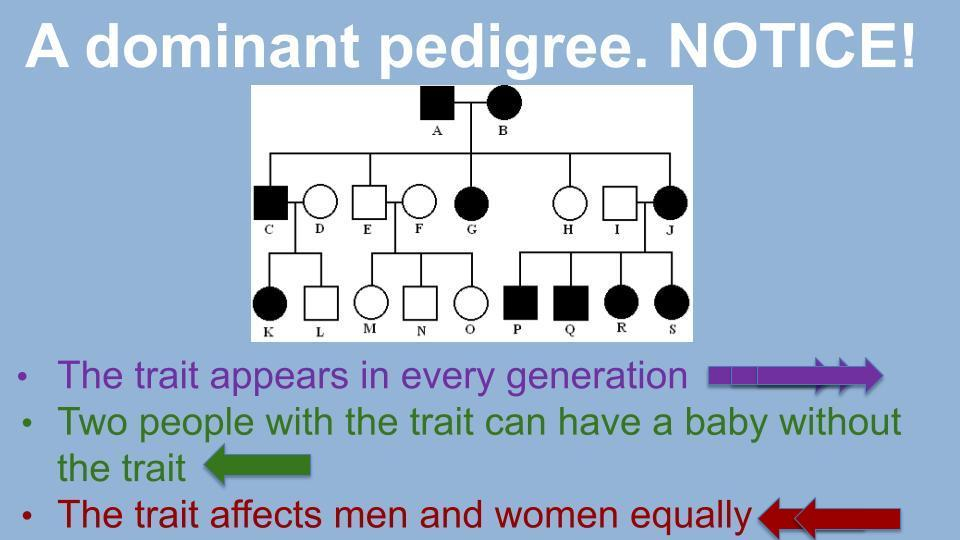 Determining Inheritance Patterns In Pedigree Charts Classful