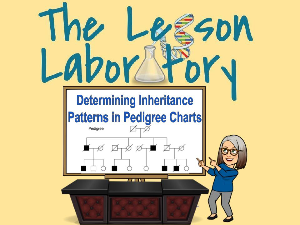 Determining Inheritance Patterns In Pedigree Charts Classful
