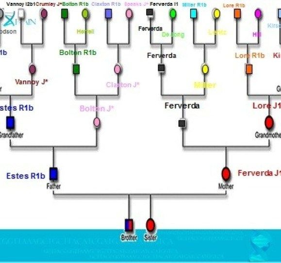 DNA Pedigree Native American Ancestry Pedigree Chart Dna Genealogy