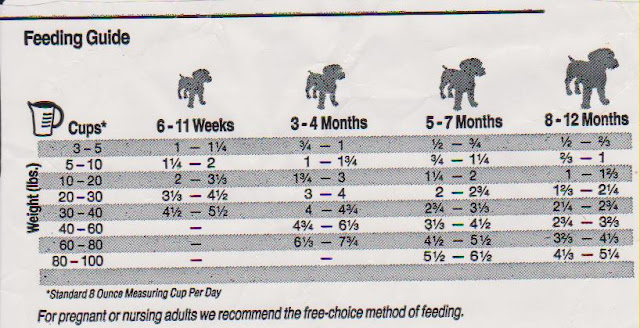 Dog Abc Dog Feeding Amounts