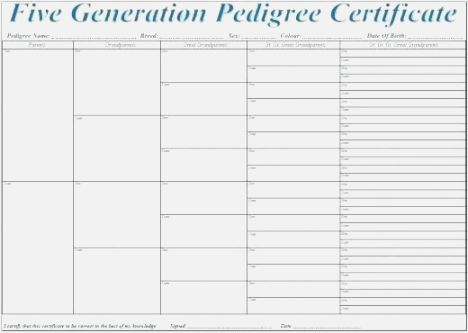 Dog Pedigree Chart Template
