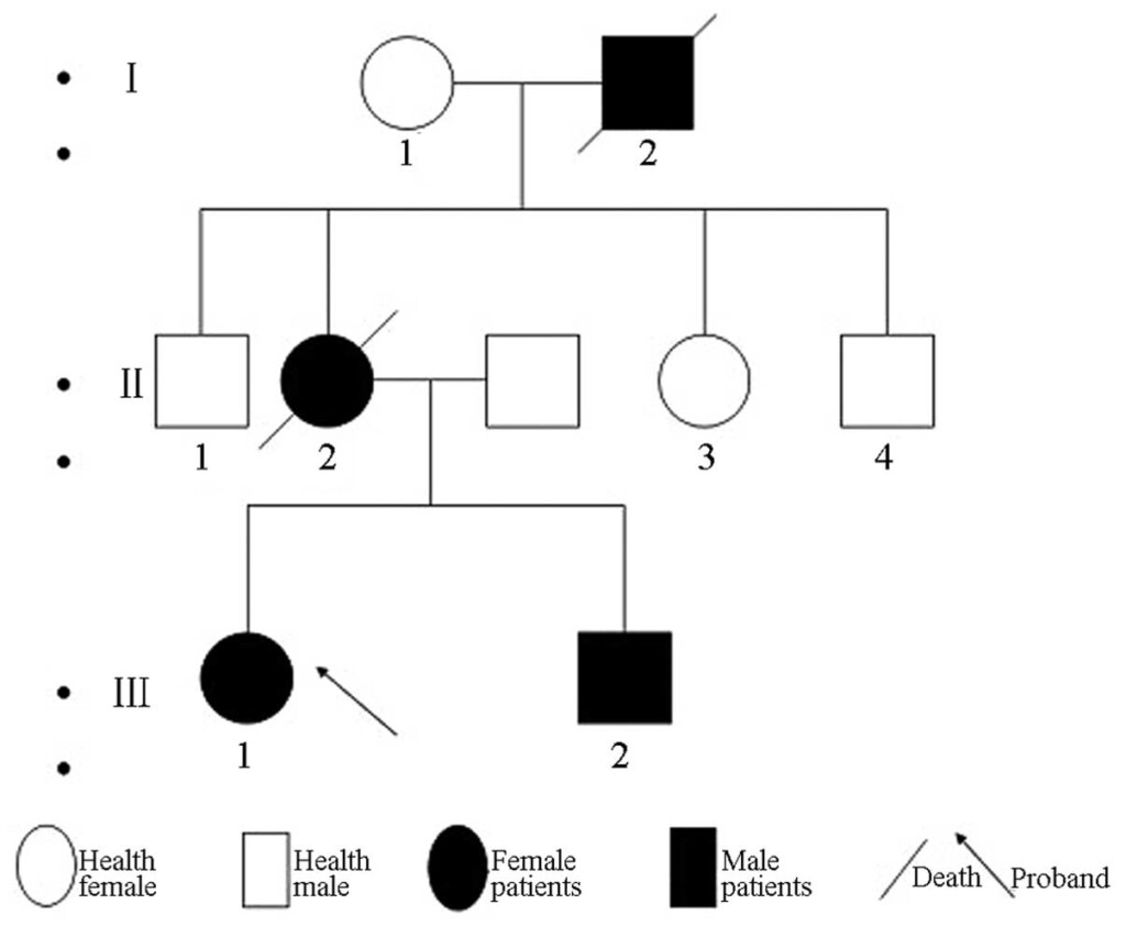 Duchenne Muscular Dystrophy Pedigree Chart