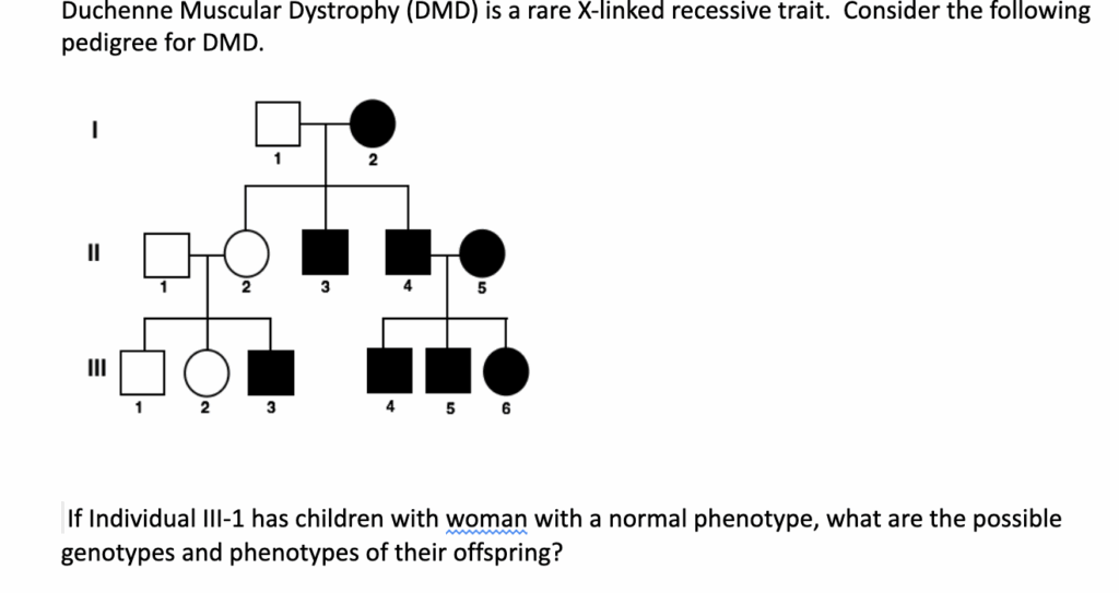 Duchenne Muscular Dystrophy Pedigree Chart