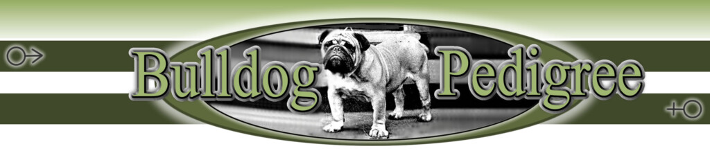 English Bulldog Pedigree Database