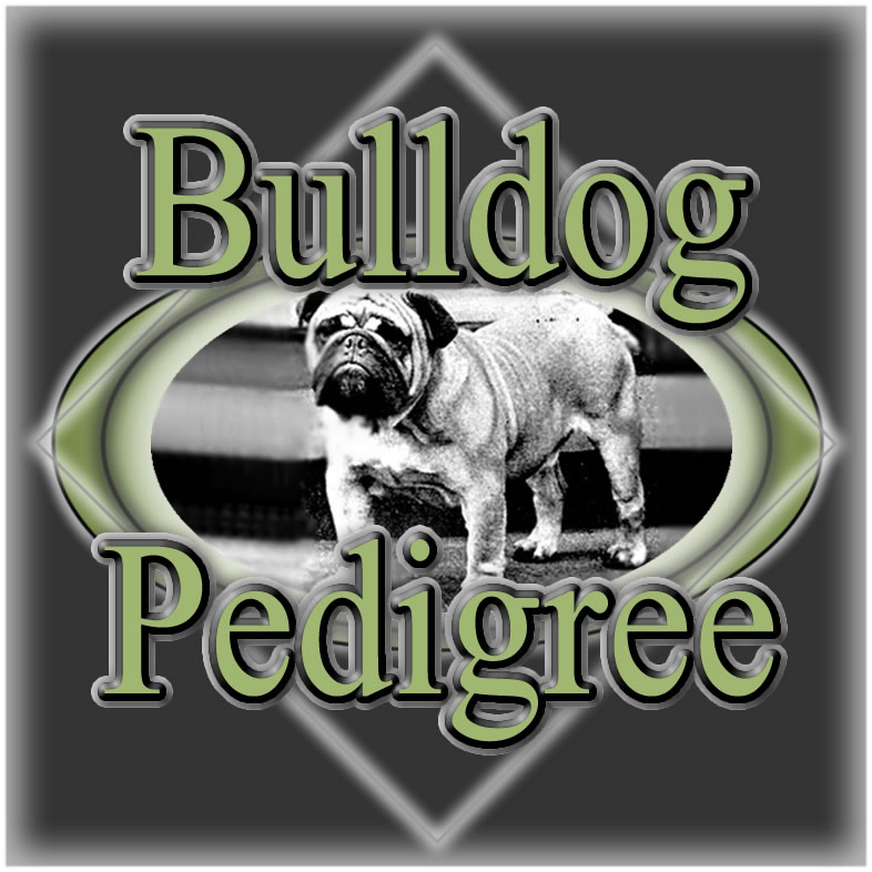 English Bulldog Pedigree Database