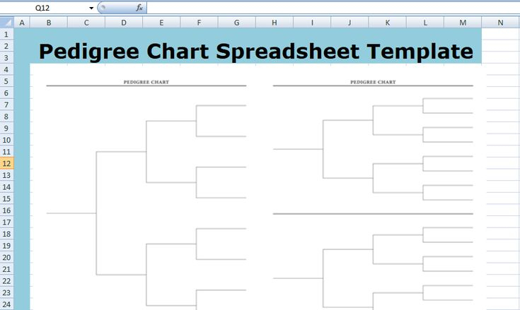 Excel Pedigree Chart Template