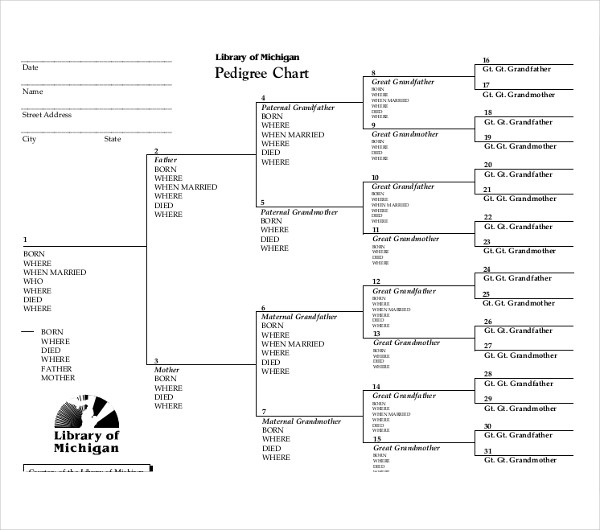 Excel Pedigree Chart Template