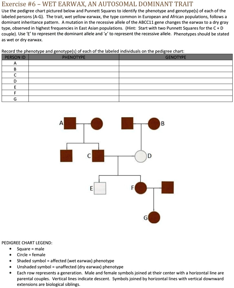 Exercise 6 Wet Earwax An Autosomal Dominant Trait Use The Pedigree 