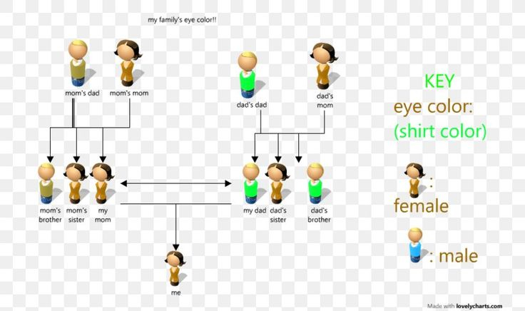 Eye Color Pedigree Chart