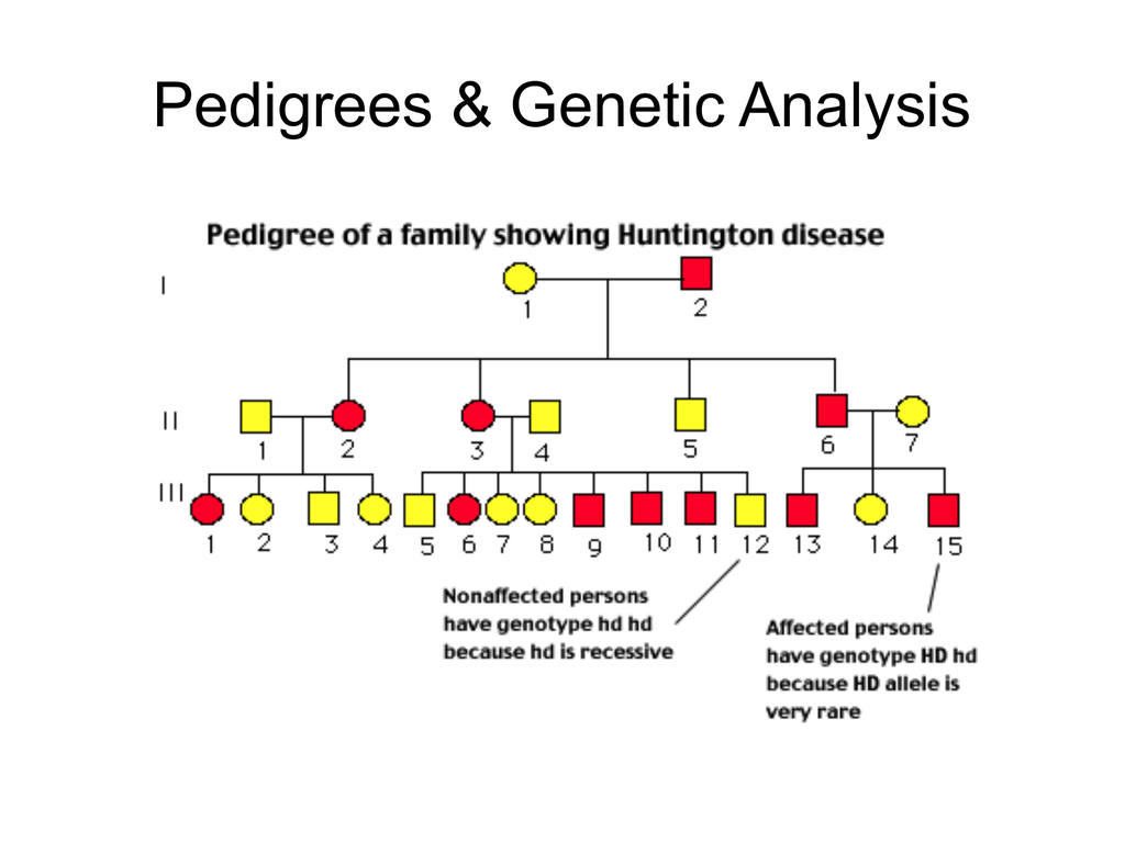 Eye Color Pedigree Chart Ponasa