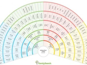 Family History Fan Chart LDS365 Resources From The Church Latter 