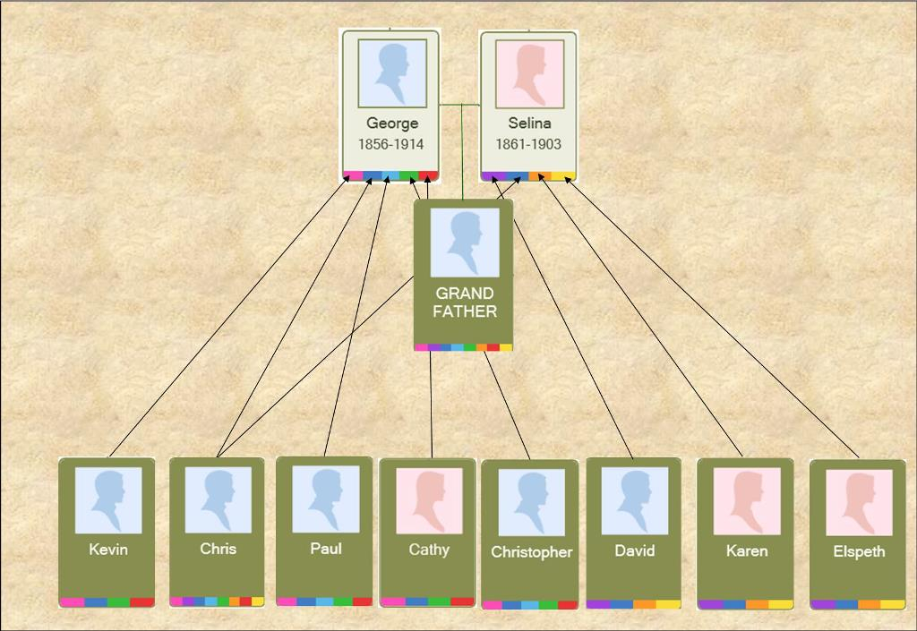 Family History Researcher Working With DNA Matches