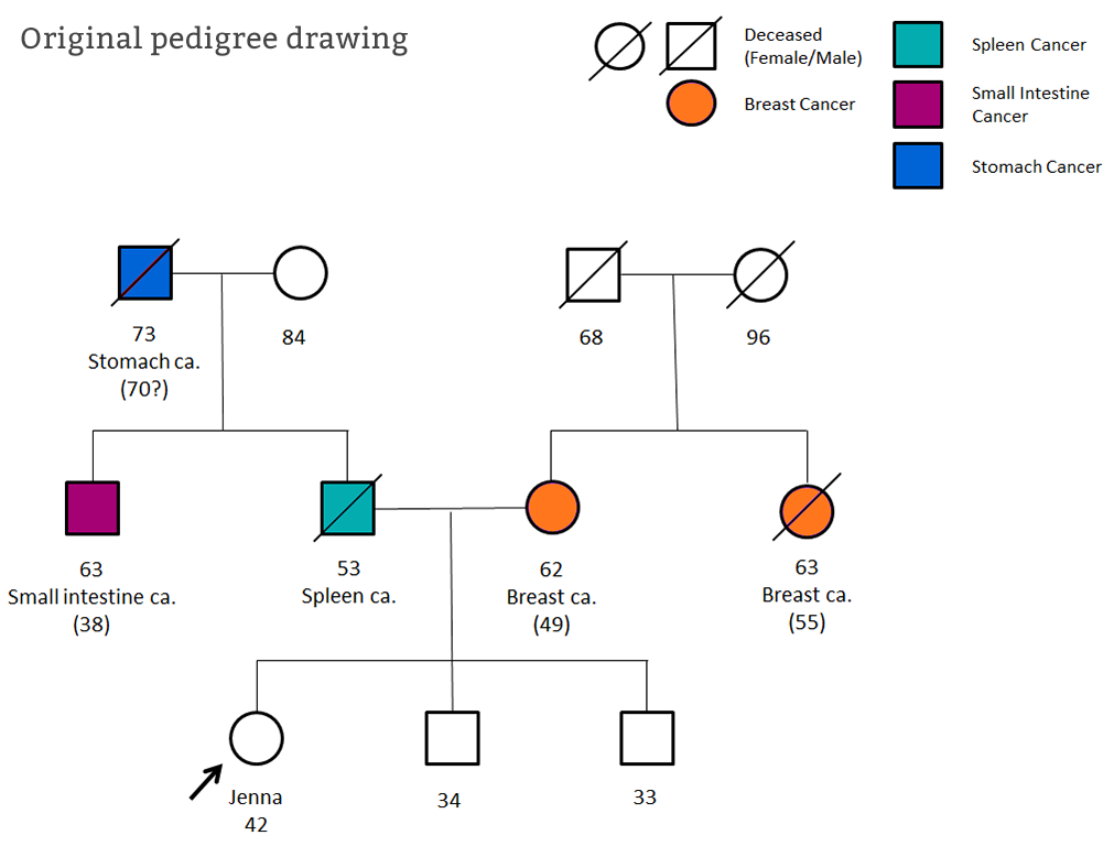Family Matters Top Tips For Drawing A Genetic Pedigree Genomics 
