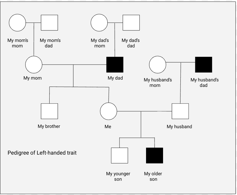Family Pedigree Chart