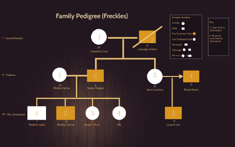 Family Pedigree Freckles By Angela Roy wright On Prezi