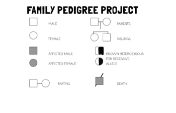 Family Pedigree Project By Bold Biology Teacher TpT