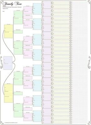 FAMILY TREE CHART Compact 8 Generation Pedigree Chart 120g Paper 