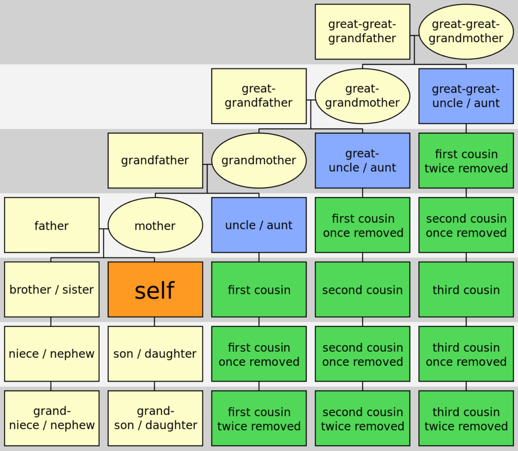 Family Tree Diagram Cousins Chart Cousins Dna Cousin Tree Fa