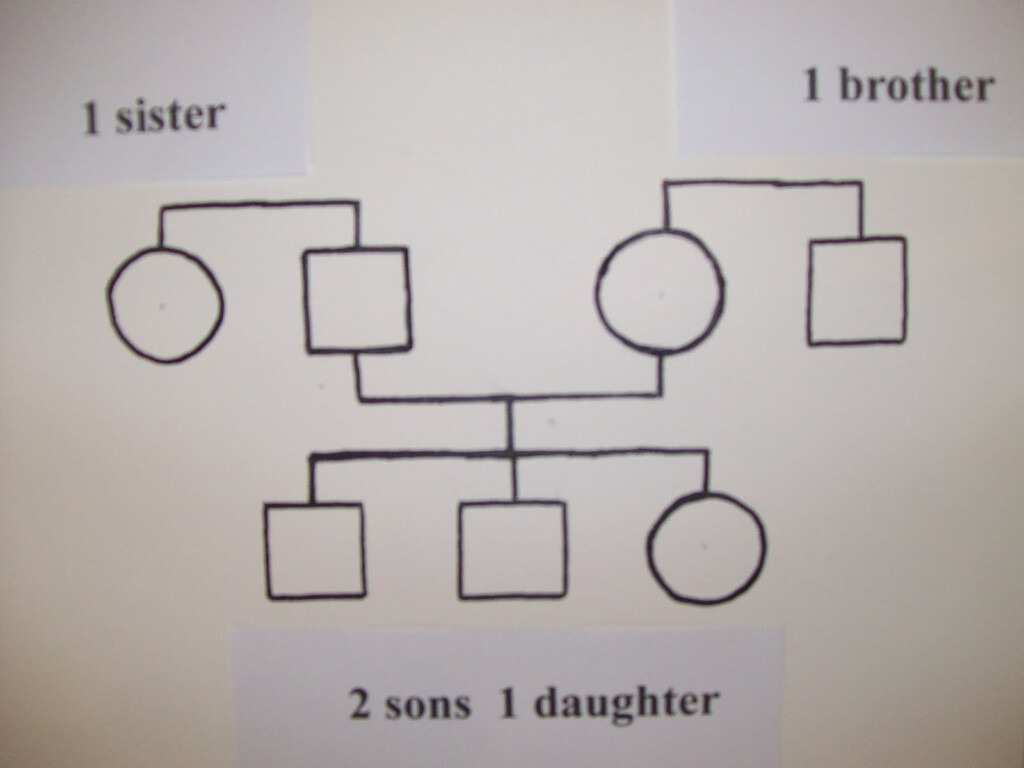 Family Tree Template Family Tree Template Circles And Squares