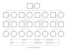 Family Tree Template Family Tree Template Circles And Squares