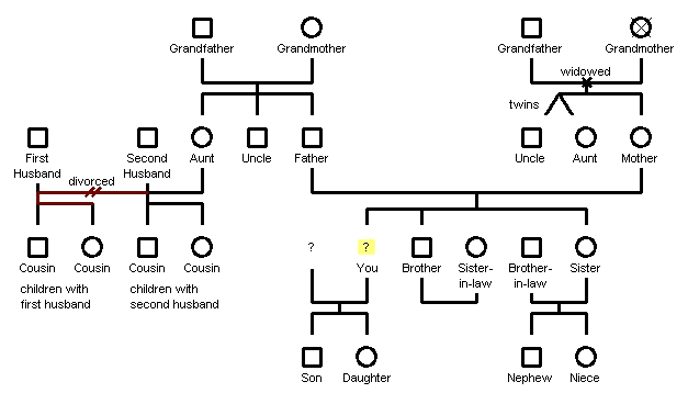 Family Tree Template Family Tree Template Circles And Squares