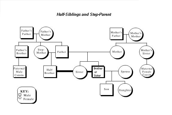 Family Tree Template Family Tree Template With Divorced Parents