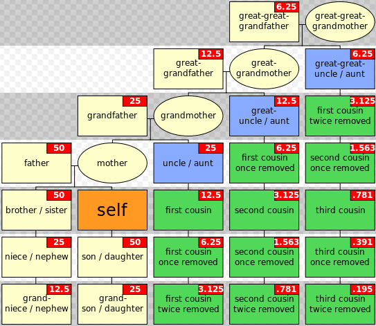 Family Trees Explained How Do They Work GenealogyBank
