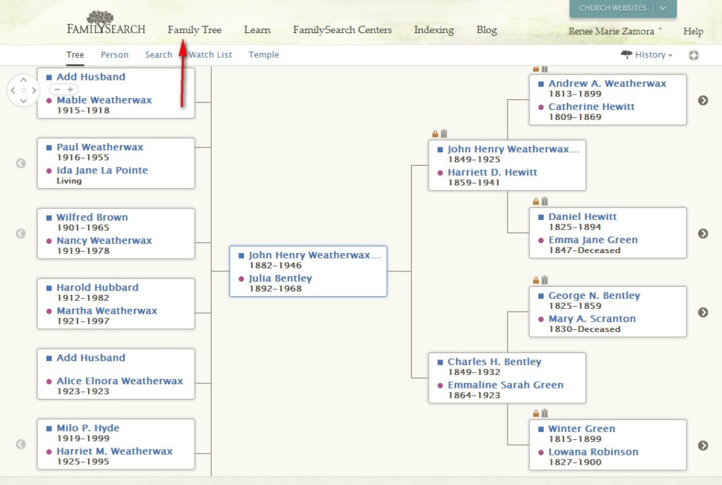 Familysearch Tree
