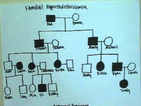 FDSCI Family Pedigree Project YouTube