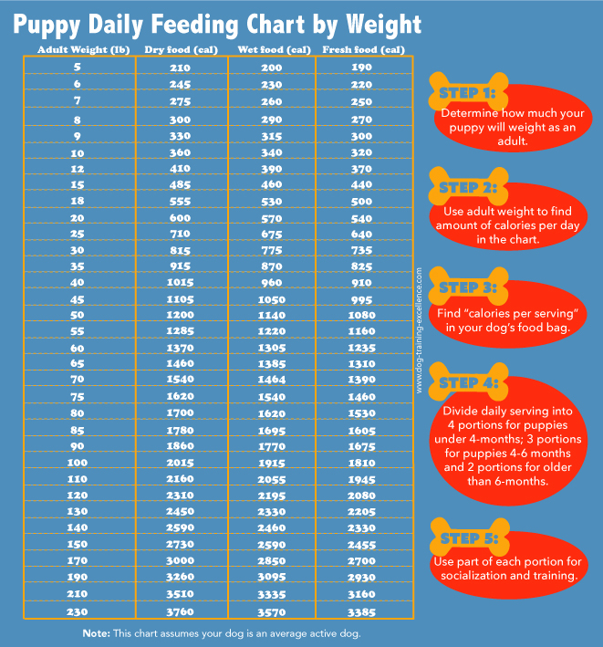 Feeding Chart For Puppies