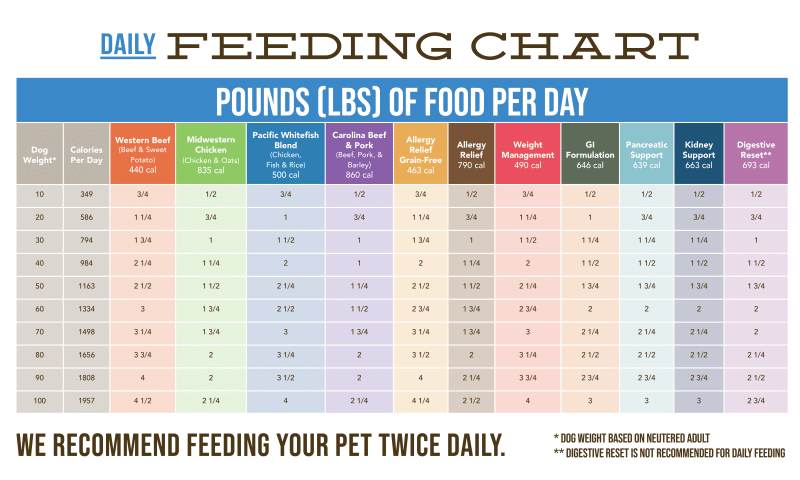 Feeding Chart Rick 39 s Dog Deli