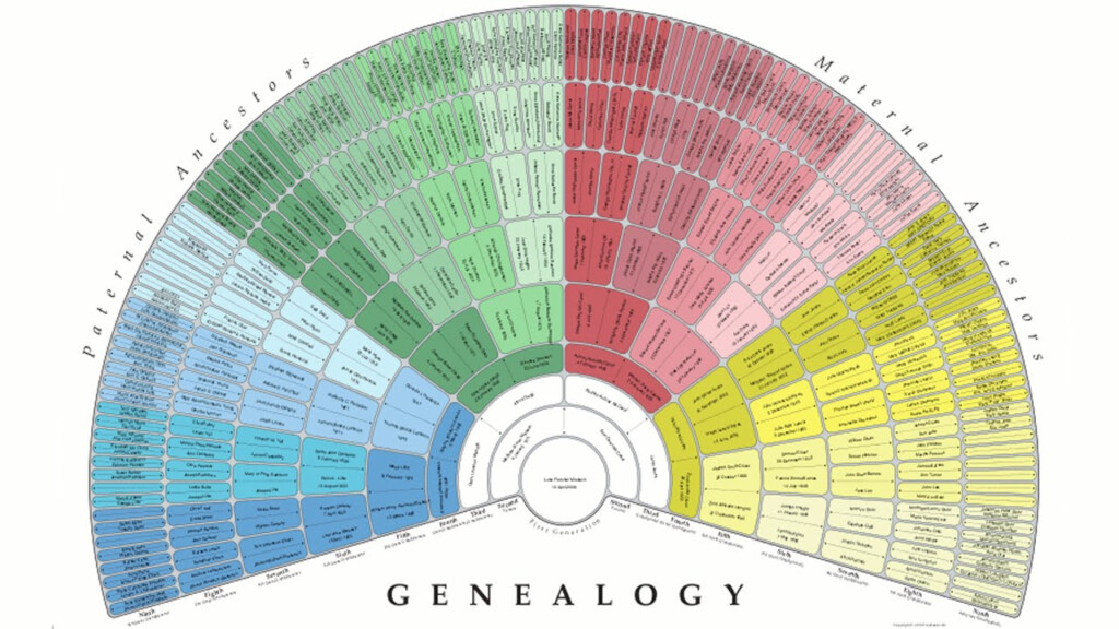 Fillable Pedigree Chart Free