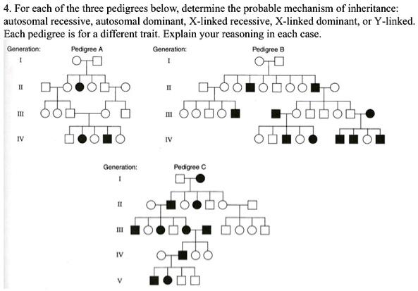 For Each Of The Three Pedigrees Below Determine The Probable Mechanism 