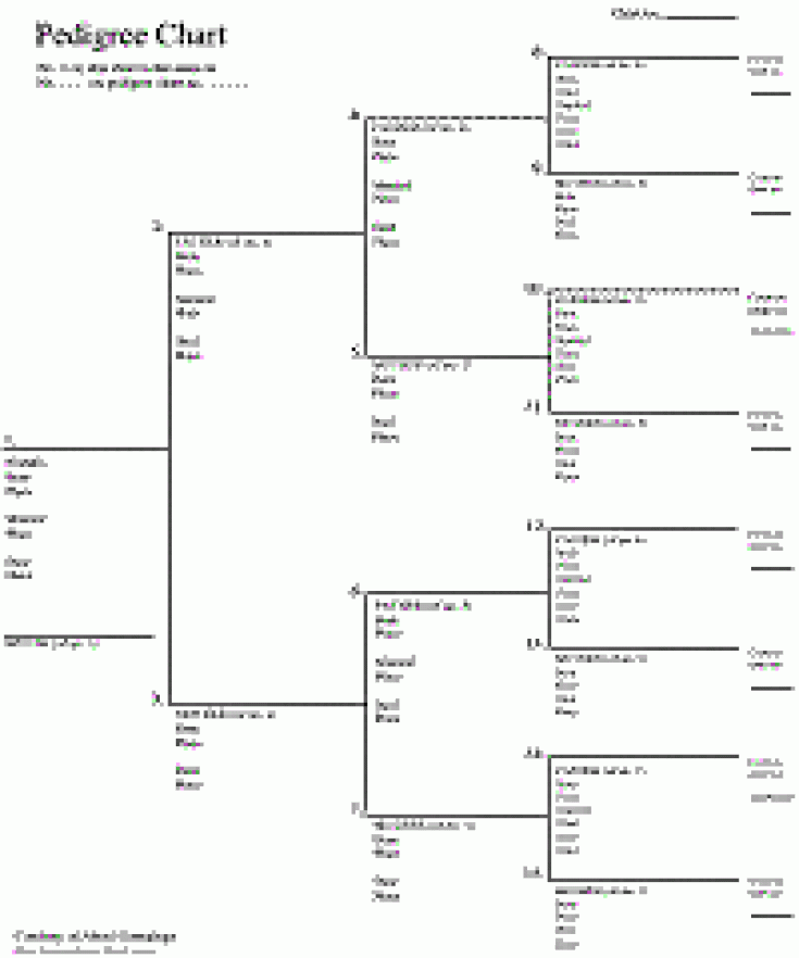 Free Family Tree Charts You Can Download Now Family Tree Chart Free 