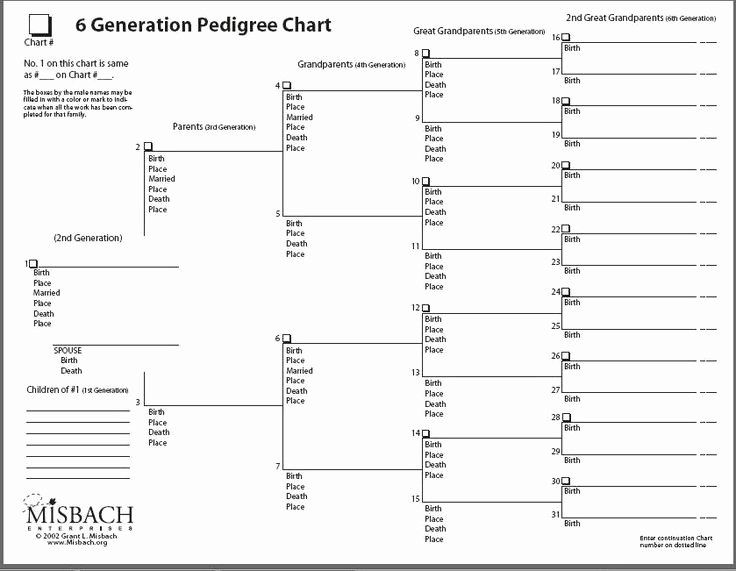 Free Fillable Pedigree Charts Family