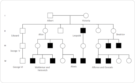 Free Pedigree Chart Maker