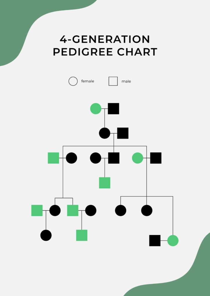 FREE Pedigree Chart Templates Examples Edit Online Download 