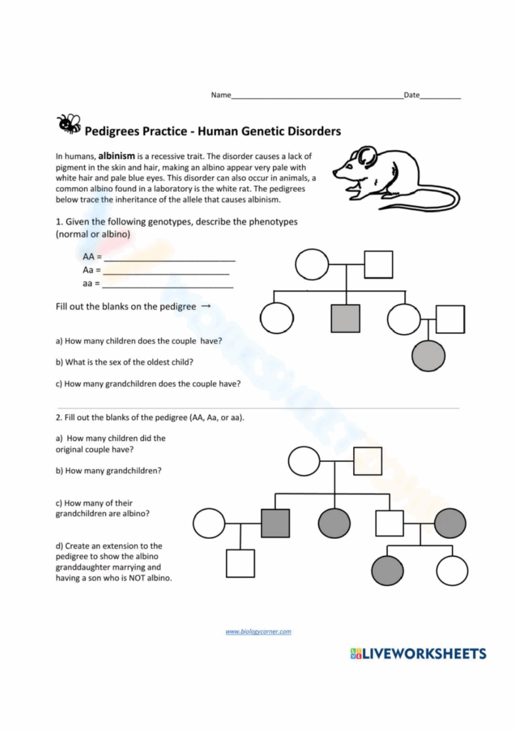 Free Pedigree Practice Worksheet Download Free Pedigree Practice 