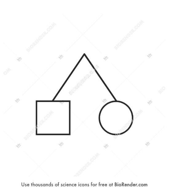Free Pedigree Symbol dizygotic Twins Icons Symbols Images BioRender
