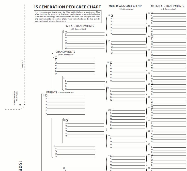Free Printable 15 Generation Pedigree Chart Free Templates Printable