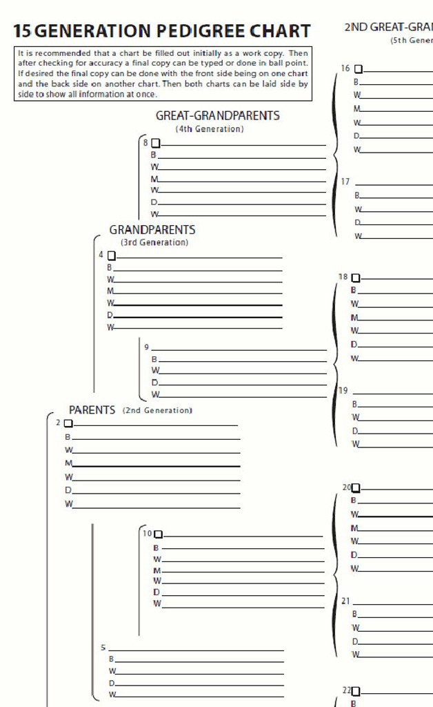 Free Printable 15 Generation Pedigree Chart Template Business PSD 