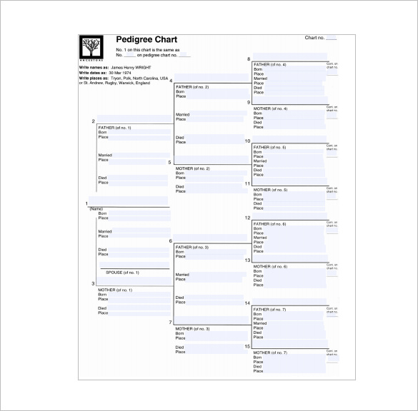 Free Printable Blank Pedigree Charts Stylebad