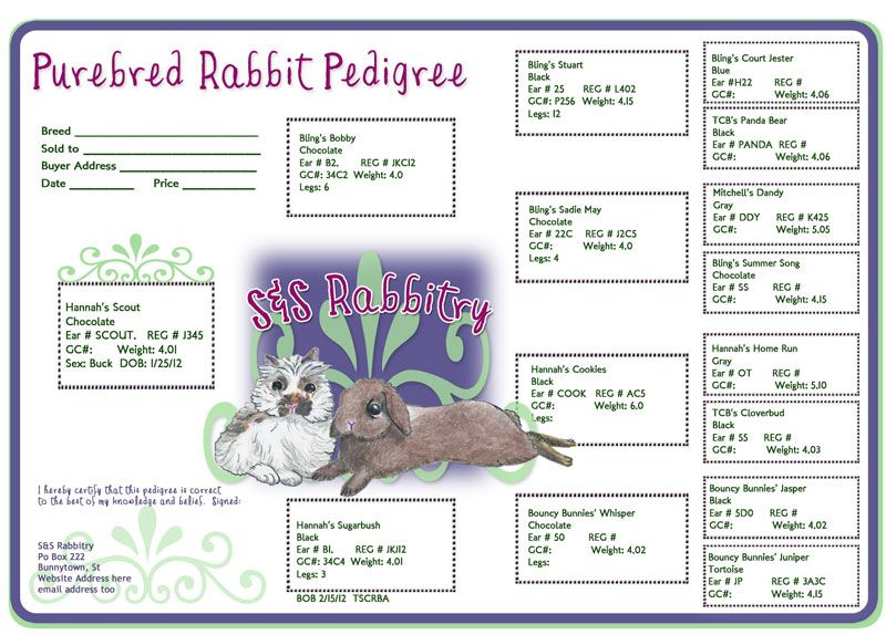 Free Printable Rabbit Pedigree Forms Kawevqdia