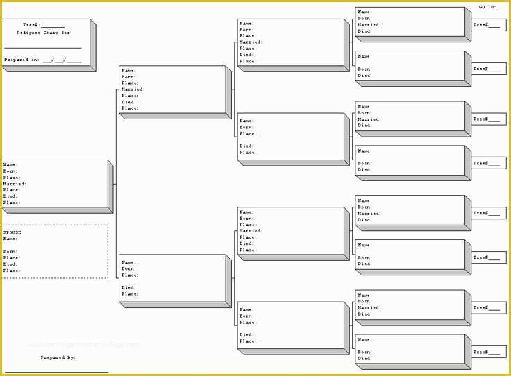 Free Rabbit Pedigree Template Of Rabbit Pedigree Blank Chart Rabbits 