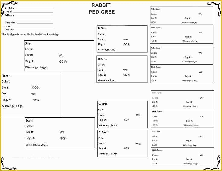 Free Rabbit Pedigree Template Of Rabbit Pedigree Blank Chart Rabbits 